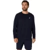 ASICS SØLV LANGERMET TOPP