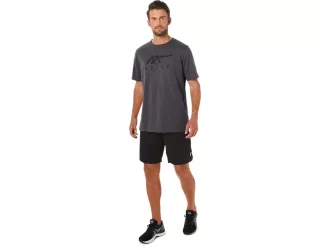 ASICS STRIPETE KORT ERME T-SKJORTE