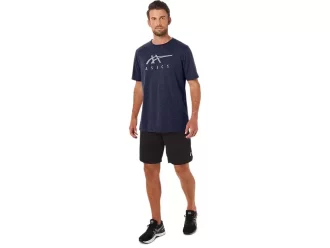 ASICS STRIPETE KORT ERME T-SKJORTE