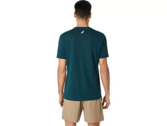 ASICS STRIPETE KORT ERME T-SKJORTE
