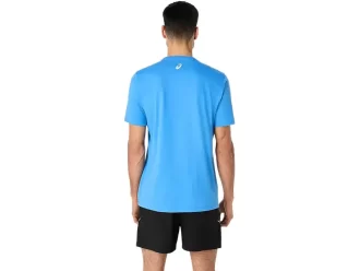 ASICS STRIPETE KORT ERME T-SKJORTE