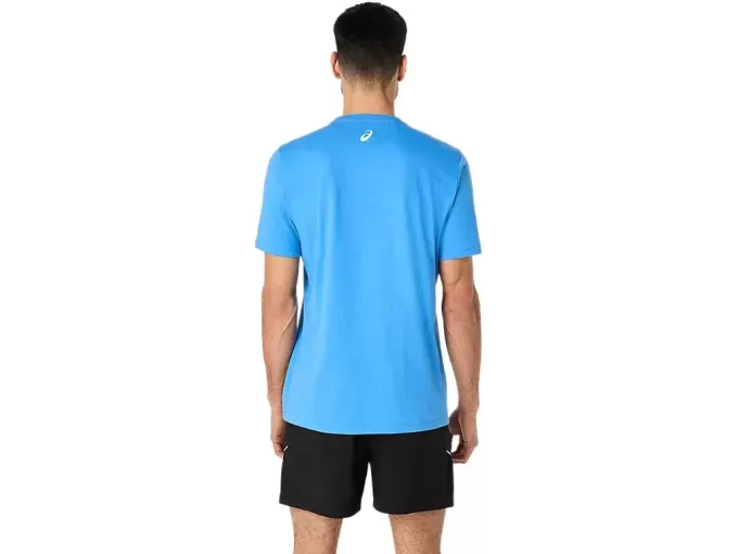 ASICS STRIPETE KORT ERME T-SKJORTE