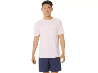 ASICS STRIPETE KORT ERME T-SKJORTE