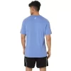 ASICS STRIPETE KORT ERME T-SKJORTE