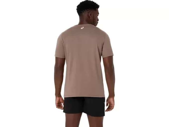 ASICS STRIPETE KORT ERME T-SKJORTE