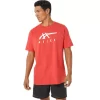 ASICS STRIPETE KORT ERME T-SKJORTE