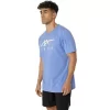 ASICS STRIPETE KORT ERME T-SKJORTE