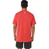ASICS STRIPETE KORT ERME T-SKJORTE