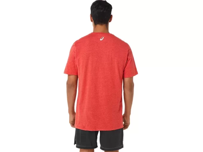 ASICS STRIPETE KORT ERME T-SKJORTE