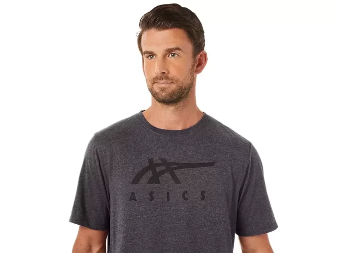 ASICS STRIPETE KORT ERME T-SKJORTE