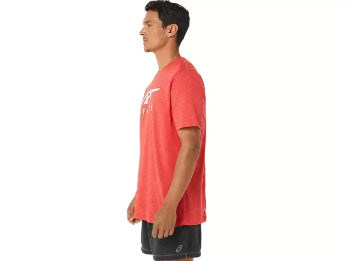 ASICS STRIPETE KORT ERME T-SKJORTE