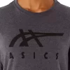 ASICS STRIPETE KORT ERME T-SKJORTE
