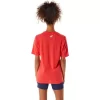 ASICS STRIPETE KORT ERME T-SKJORTE