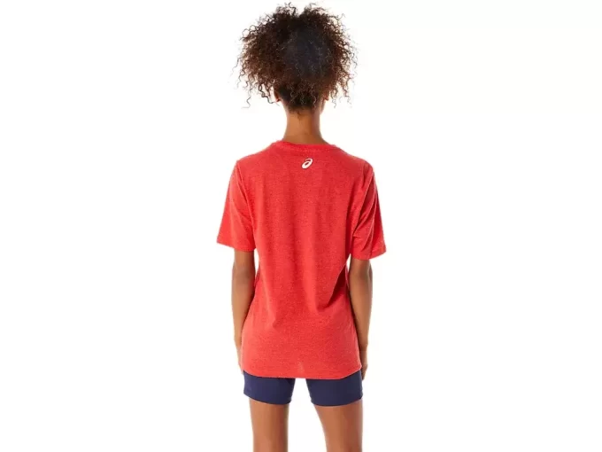 ASICS STRIPETE KORT ERME T-SKJORTE