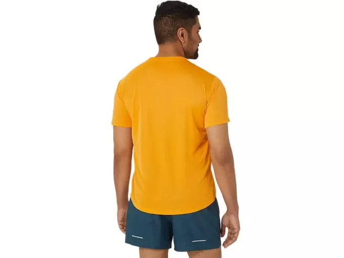 FUJITRAIL LOGO KORT ERME TOPP