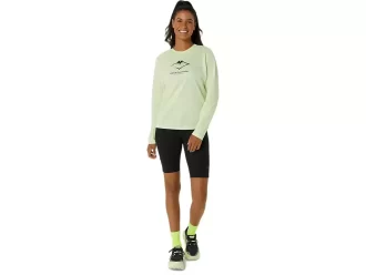 FUJITRAIL LOGO LANGERMET TOPP