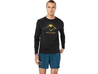 FUJITRAIL LOGO LANGERMET TOPP
