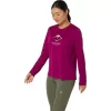 FUJITRAIL LOGO LANGERMET TOPP