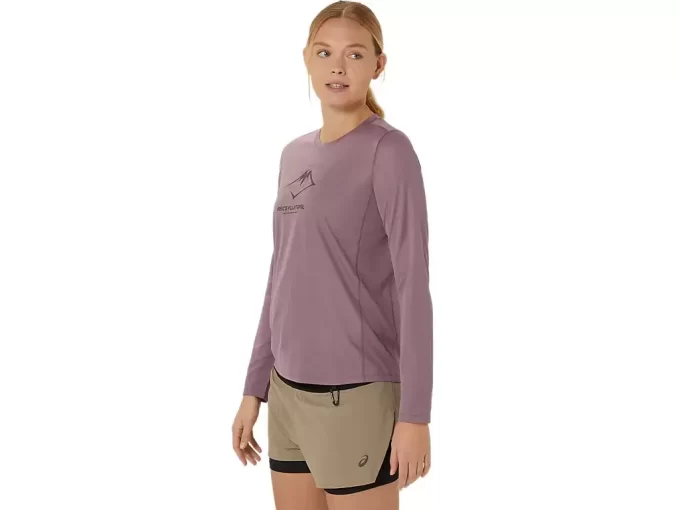 FUJITRAIL LOGO LANGERMET TOPP