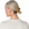 FUJITRAIL LOGO LANGERMET TOPP