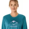 FUJITRAIL LOGO LANGERMET TOPP