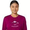 FUJITRAIL LOGO LANGERMET TOPP
