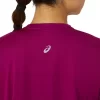 FUJITRAIL LOGO LANGERMET TOPP