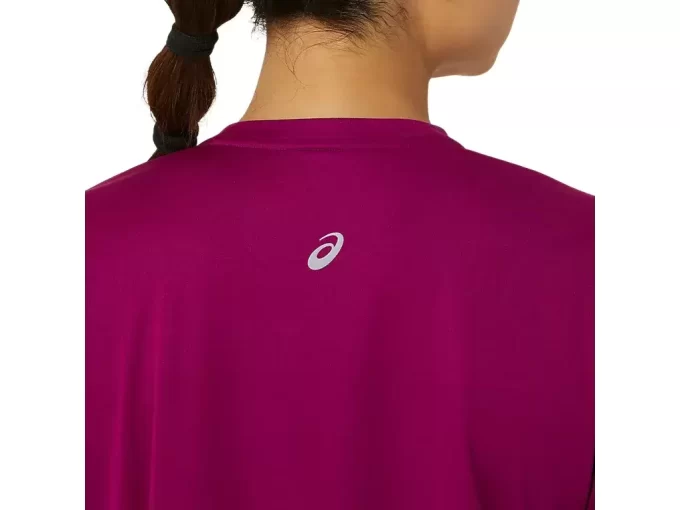 FUJITRAIL LOGO LANGERMET TOPP