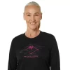 FUJITRAIL LOGO LANGERMET TOPP