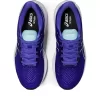 GT-1000 12 BRED VEI TESTET